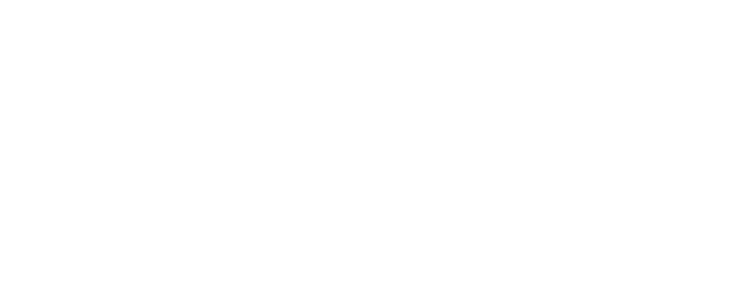 LS TCM - Traditional Chinese Medicine, TCM near me, Acupuncture