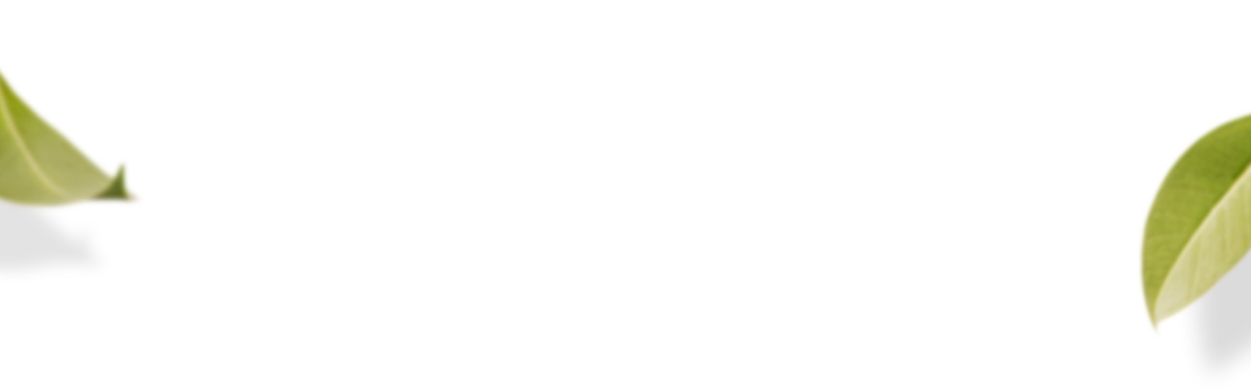 leaf-bg