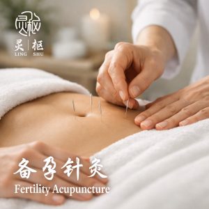 Tcm fertility care treatment